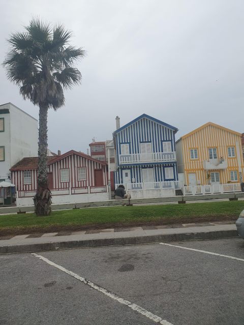 Aveiro and Coimbra Day Trip From Porto - Coimbra City Tour
