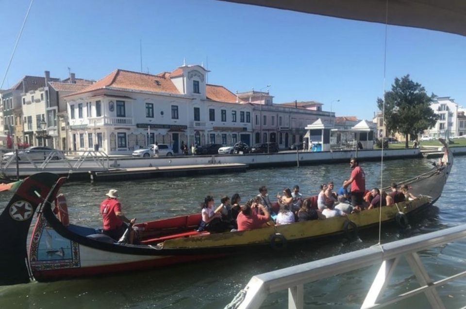 Aveiro and Coimbra Private Tour - What to Expect From the Tour