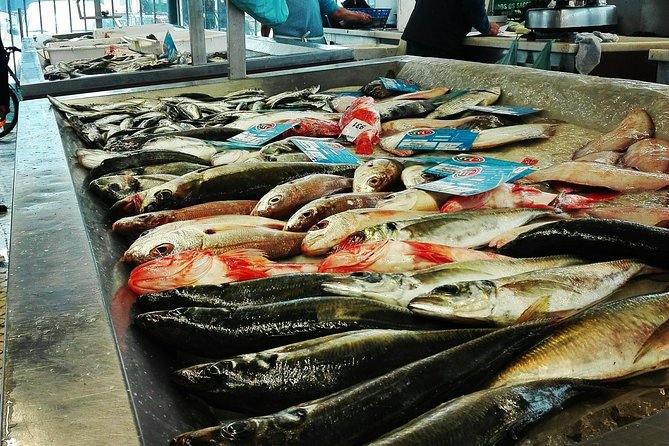 Aveiro, Costa Nova Beach and Moliceiro Boat, Half-Day From Coimbra - What to Expect on the Tour