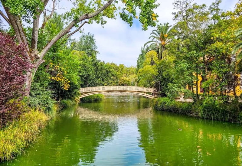 Aveiro & Costa Nova Day Trip  Full Access Included - A Comprehensive Look at the Aveiro & Costa Nova Day Trip