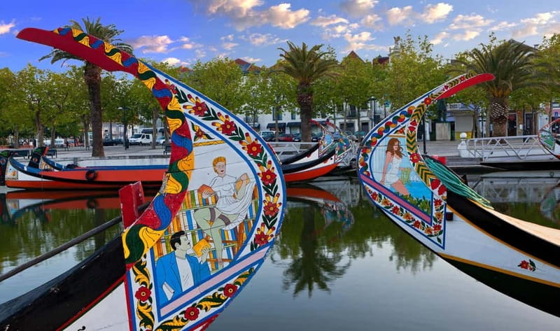 Aveiro & Costa Nova Private Day Tour from Porto Area. - Who Will Love This Tour?