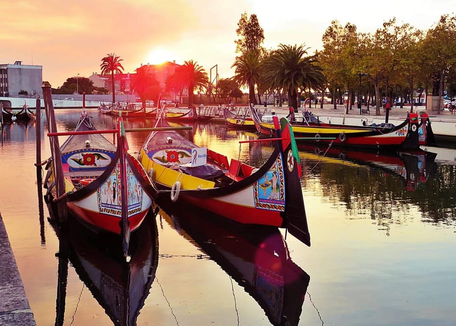AVEIRO E COSTA NOVA: Private Full-Day Tour w/Boat from Porto - An Introduction to the Experience