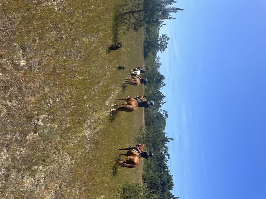 Aveiro: Horse Riding Experience With Instructor - Equestrian Center Details and Amenities