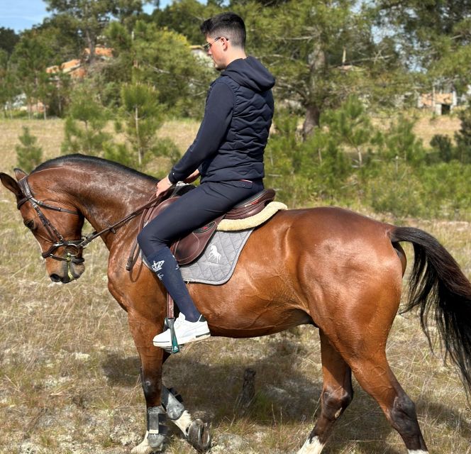 Aveiro: Horse Riding Experience With Instructor - Hands-On Horse Riding Instruction