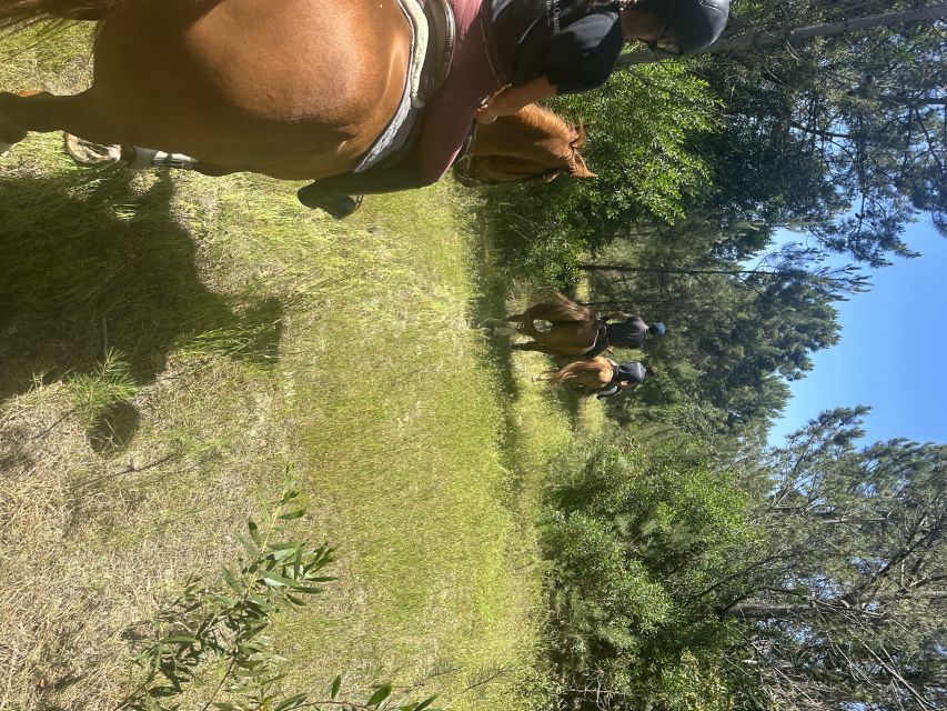 Aveiro: Horse Riding Experience With Instructor - Duration and Group Size Information