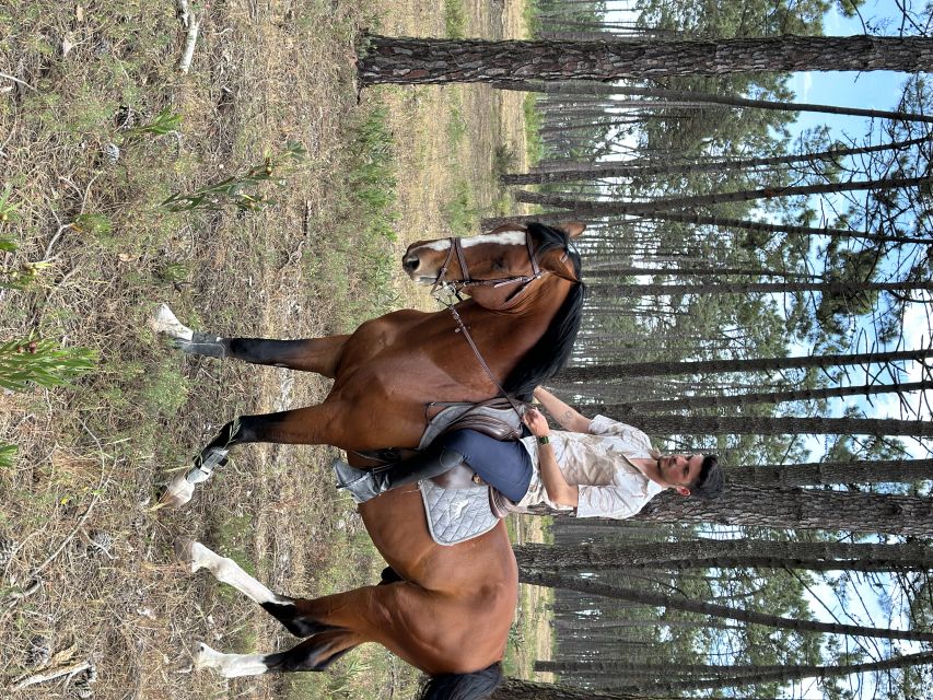 Aveiro: Horse Riding Experience With Instructor - Multilingual Experience for All Travelers