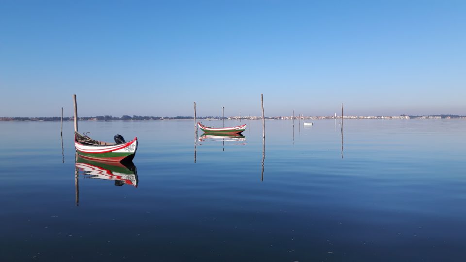 Aveiro Private City Tour With 1-Hour Local Boat Cruise & Egg Sweets - Aveiros Picturesque Canals