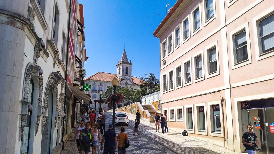 Aveiro Private Tour, Bairrada Wine Cellars & Roasted Piglet - Tasting the Portuguese Champagne Region