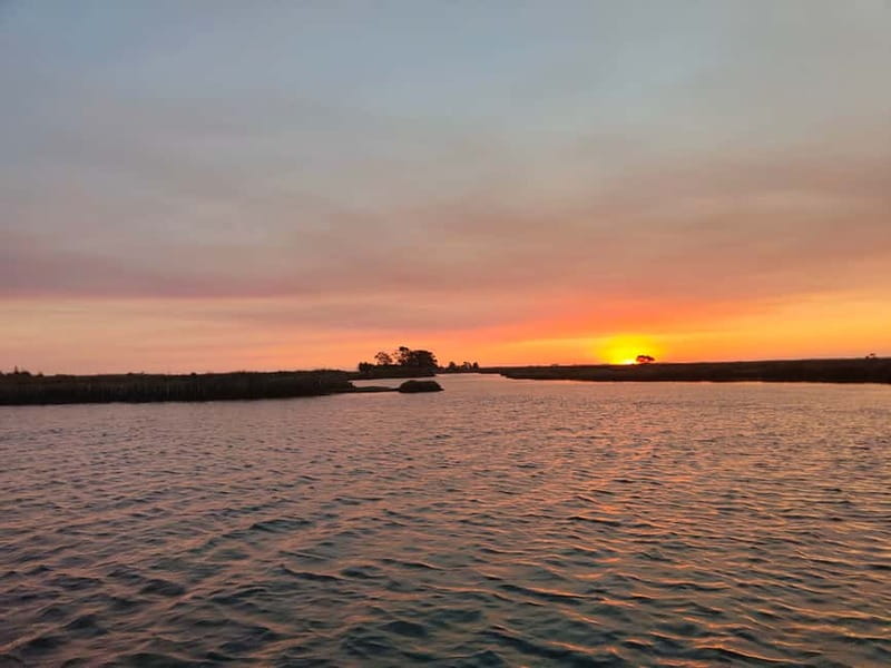 Aveiro: Ria Highlights Boat Tour - Speed Boat - The Experience: What to Expect on the Speed Boat Tour