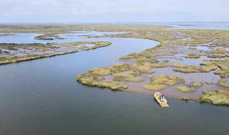 Aveiro: Ria Highlights Boat Tour - Speed Boat - Scenic Highlights: Water, Wildlife, and Villages