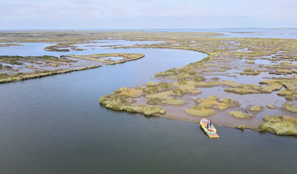 Aveiro: Ria Highlights Boat Tour - Experience Highlights