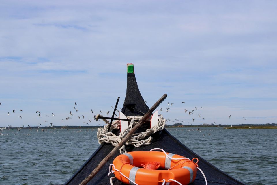 Aveiro: Typical Boat Tour With Tasting - 90 Min - Key Points