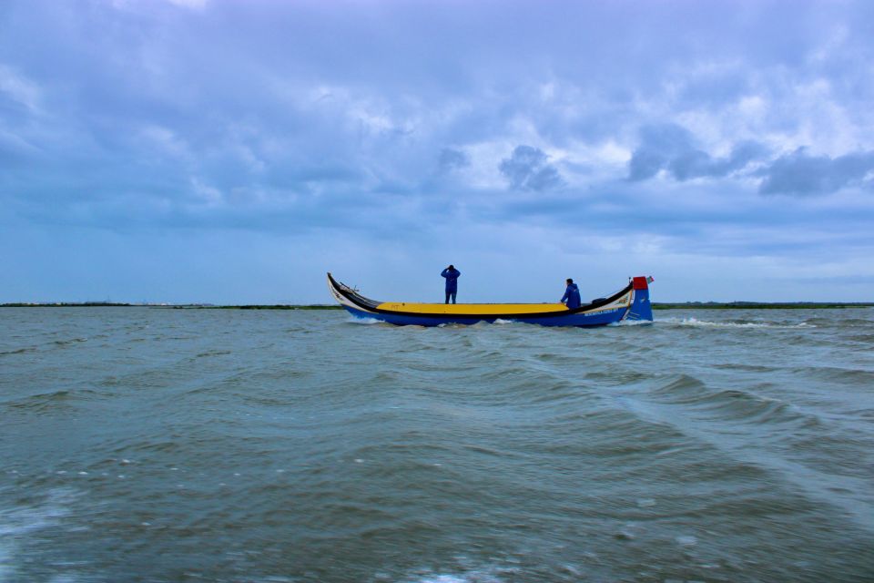 Aveiro: Typical Boat Tour With Tasting - 90 Min - Highlights of the Experience