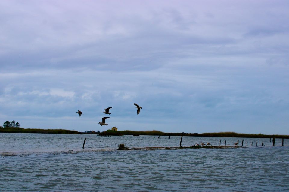 Aveiro: Typical Boat Tour With Tasting - 90 Min - Meeting Point and Directions