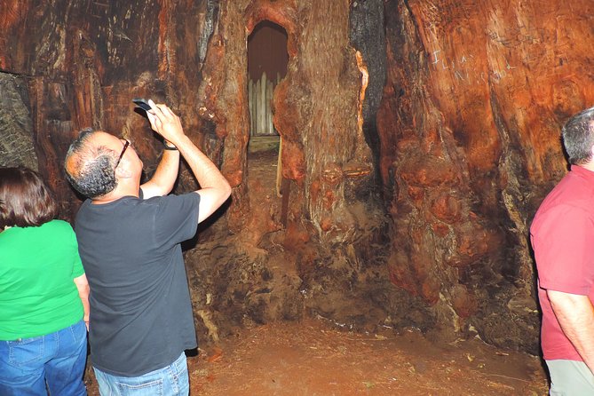 Avenue of the Giant Redwood Private 1 Day Tour From San Francisco - What to Expect on the Tour