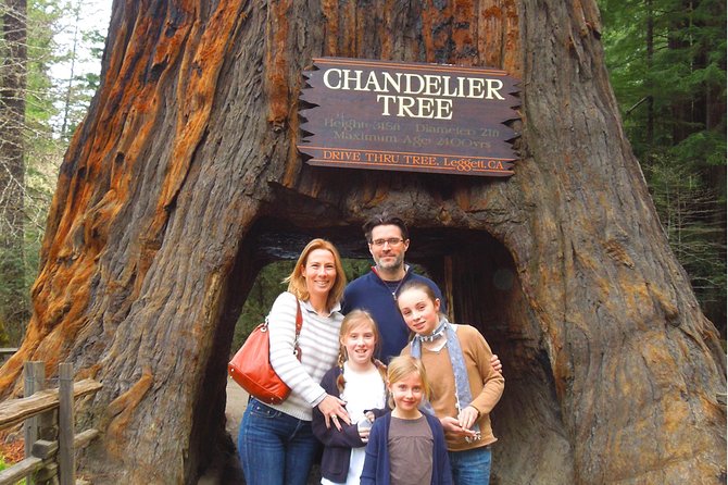 Avenue of the Giant Redwood Private 1 Day Tour From San Francisco - The Sum Up