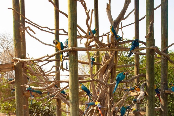Aviario Nacional Including Playa Blanca Shared Tour - Inclusions