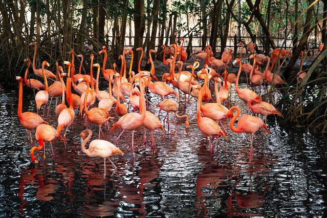 Aviario Nacional Including Playa Blanca Shared Tour - Itinerary and Experience