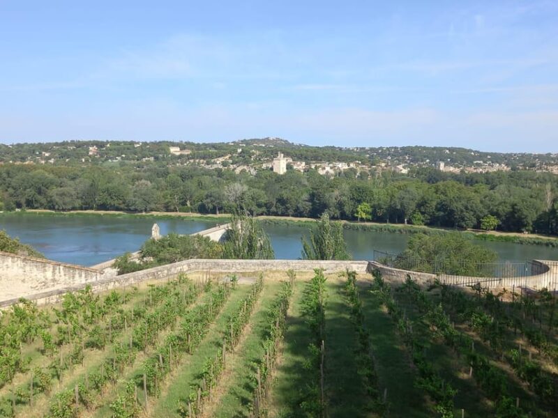 Avignon: City Walking Tour With Popes Palace Entry - Customer Reviews