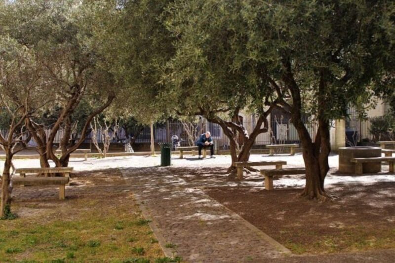 Avignon: Emblematic Squares Tour - Historical Significance
