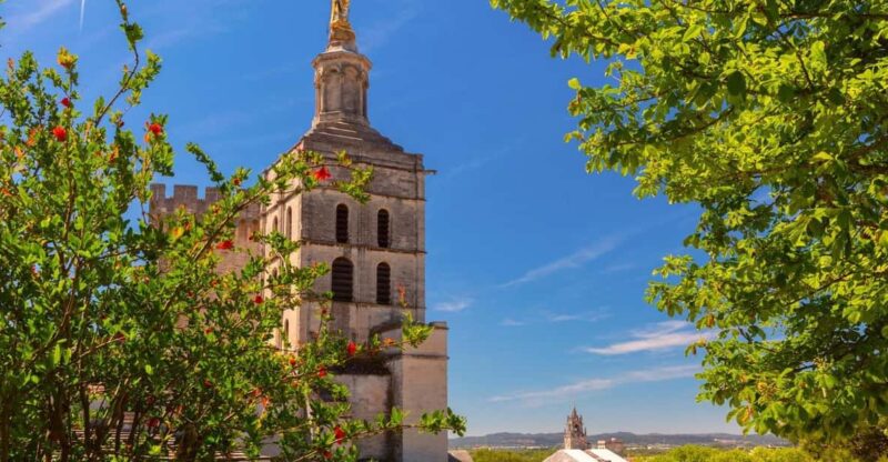 Avignon: Express Walk With a Local in 60 Minutes - Experience Highlights