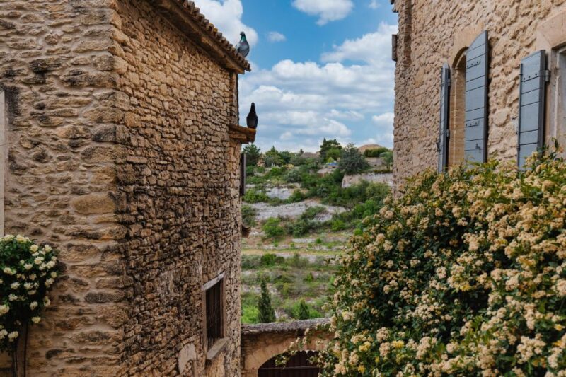 Avignon: Full-Day Châteauneuf Du Pape Wines & Luberon Tour - Key Points