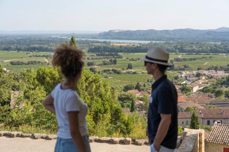 Avignon: Full-Day Châteauneuf Du Pape Wines & Luberon Tour - Itinerary Highlights