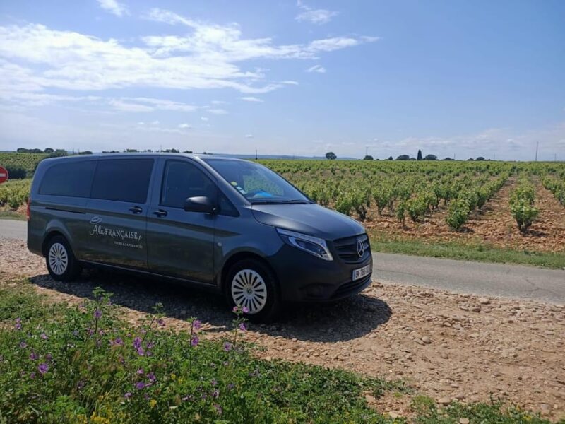 Avignon: Full-Day Châteauneuf Du Pape Wines & Luberon Tour - Wine Tasting Experiences