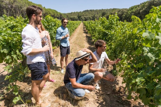 Avignon: Full-Day Châteauneuf Du Pape Wines & Luberon Tour - Practical Information for Travelers