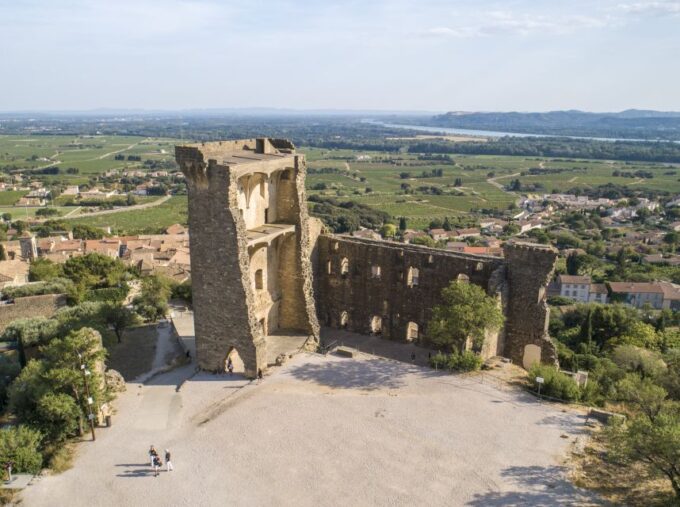 Avignon: Full-Day Châteauneuf Du Pape Wines & Luberon Tour - Customer Feedback and Ratings