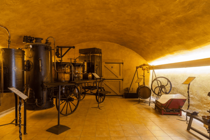 Avignon: Full Day Truffles and Chateauneuf-Du-Pape Wines - Tasting of Truffle Dishes