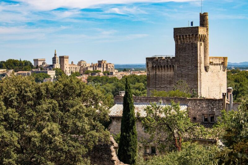 Avignon: Private Walking Tour – Discover History & Heritage - Key Points