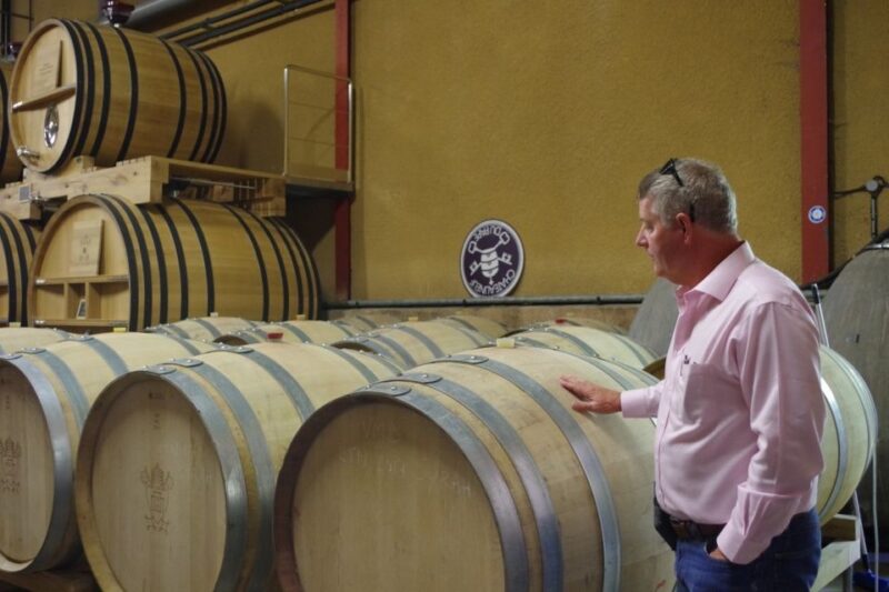 Avignon: Wine Tasting Tour - Detailed Itinerary