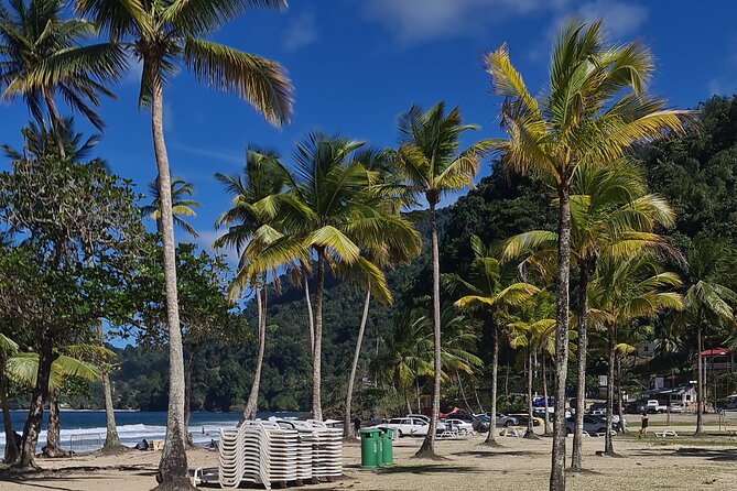 Avocat Waterfall Tour & Beach Stop Adventure - Maracas Beach Highlights