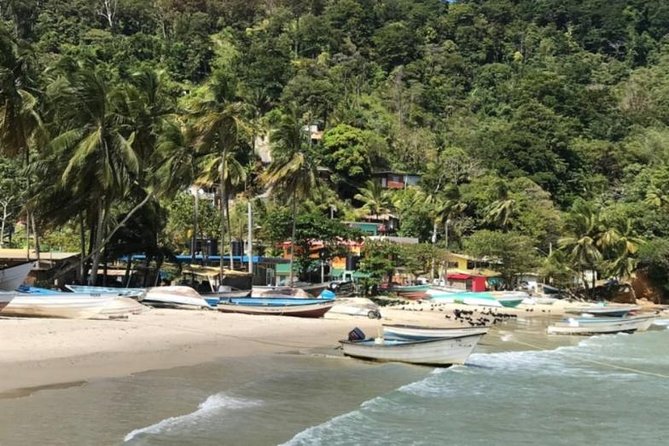 Avocat Waterfall Tour & Beach Stop Package - Health and Safety Guidelines