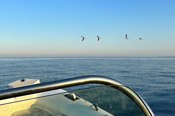 Avola: Group Boat Tour Vendicari Capopassero and Aperitif - FAQ