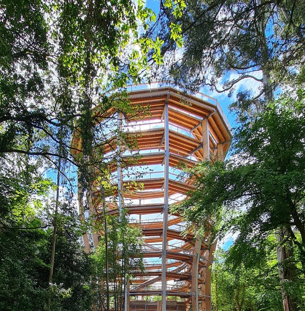 Avondale: Beyond the Trees Treetop Walk & Tower Entry Ticket - Family-Friendly Activities