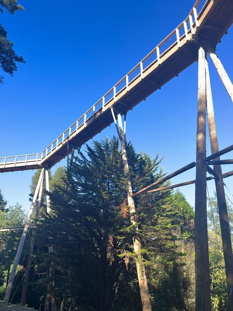 Avondale: Beyond the Trees Treetop Walk & Tower Entry Ticket - Visitor Guidelines