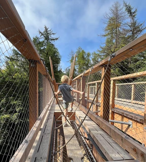 Avondale: Beyond the Trees Treetop Walk & Tower Entry Ticket - Customer Experiences and Ratings