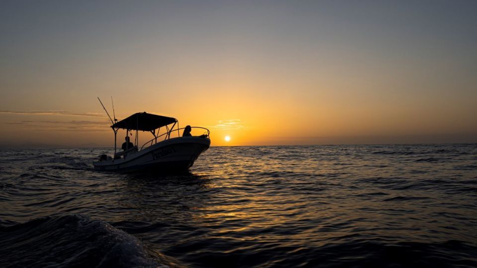 Awakening With Stars, Whales and Dolphins Boat Cruise - Hotel Pickup and Drop-off