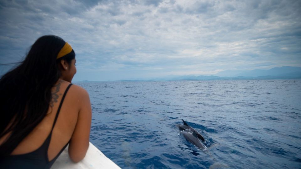 Awakening With Stars, Whales and Dolphins Boat Cruise - Not Suitable for Whom
