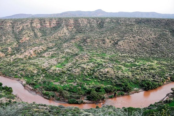 Awash National Park Tours - Inclusions and Pricing Details