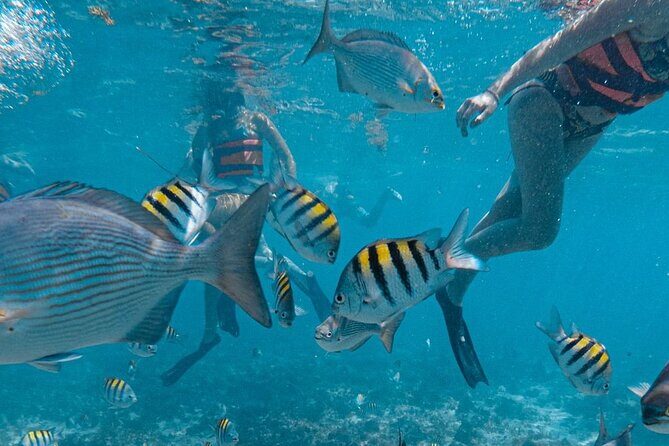 Awesome Catamaran to Isla Mujeres, Snorkeling & Unlimited Drinks! - FAQs