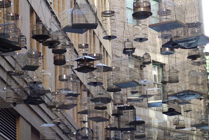 Awesome Sydney Scavenger Hunt: Inside Sydney - Final Thoughts