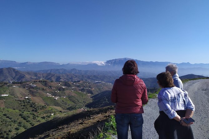 Axarquia VIP Wine Tour With Gourmet Winery Lunch Experience - Interacting With Local Winemakers