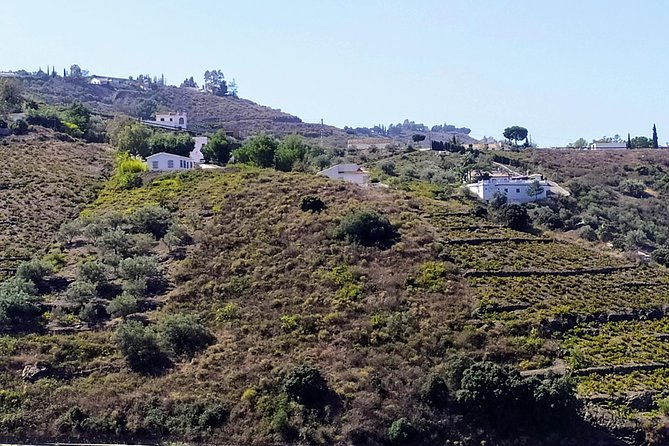 Axarquia VIP Wine Tour With Gourmet Winery Lunch Experience - Gourmet Dinner Included in Tour