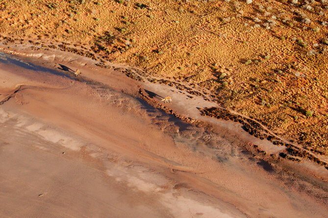 Ayers Rock and Kata Tjuta 1-Hour Scenic Flight: Lizard Safari - FAQs