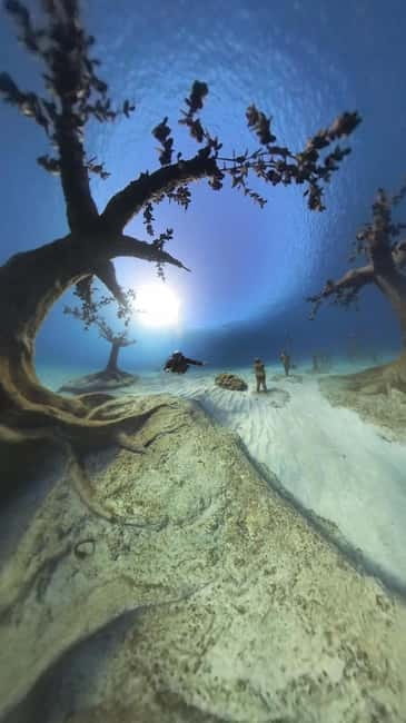 Ayia Napa: Musan Underwater Museum Scuba Dive with Transfer - The Practical Side: Booking, Pricing, and Tips