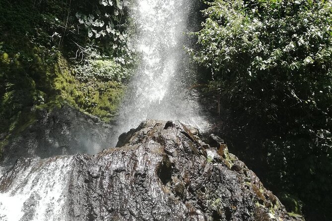 Ayung Rafting Ubud (Include Lunch & Return Transportation) - Operated by Bali White Water Rafting