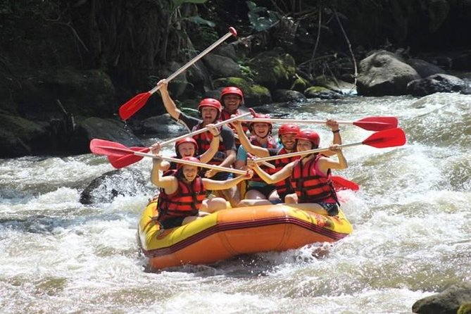 Ayung River Half-Day White Water Rafting Bali in Ubud - Tour Itinerary